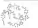 Fig. 01 - Crystalline forms of 1-(4-{[6-amino-5-(4-phenoxy-phenyl)-pyrimidin-4-ylamino]-methyl}-piperidin-1-yl)-propenone