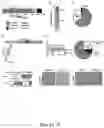 Fig. 02 - TNFRSF14 / HVEM proteins and methods of use thereof