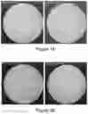 Fig. 19 - Fluorosurfactants