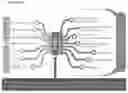 Fig. 09 - COMPOSITIONS AND METHODS FOR PAIN AMELIORATION VIA MODIFICATION OF GENE EXPRESSION