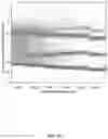 Fig. 06 - Quantification of Mutant Alleles and Copy Number Variation Using Digital PCR with Nonspecific DNA-Binding Dyes