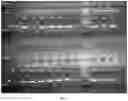 Fig. 02 - Genetic array for simultaneous detection of multiple serovars