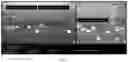 Fig. 04 - Genetic array for simultaneous detection of multiple serovars