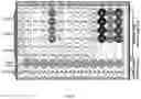 Fig. 07 - Genetic array for simultaneous detection of multiple serovars