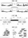 Fig. 02 - Polynucleotides, reagents, and methods for nucleic acid hybridization