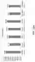 Fig. 35 - Polynucleotides, reagents, and methods for nucleic acid hybridization
