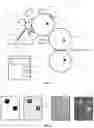 Fig. 02 - Maintenance program for liquid electro-photographic printing processes
