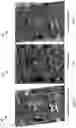 Fig. 06 - Multi-source image fusion