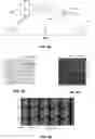 Fig. 09 - Adjustment of architectural elements relative to facades