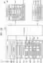 Fig. 10 - Method and apparatus for processing image