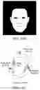 Fig. 10 - Image processing method, apparatus, terminal, and storage medium