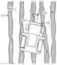 Fig. 01 - Detecting crop related row from image