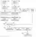 Fig. 01 - Template based anatomical segmentation of medical images