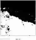 Fig. 05 - Foreground segmentation and nucleus ranking for scoring dual ISH images