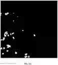 Fig. 15 - Foreground segmentation and nucleus ranking for scoring dual ISH images