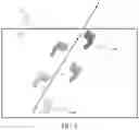 Fig. 06 - SINGLE FRAME OBJECT TRACKING USING THERMAL IMAGING