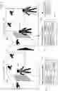 Fig. 07 - Person and projected image item tracking system