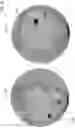 Fig. 37 - Person and projected image item tracking system