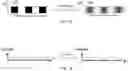 Fig. 02 - High speed structured light system