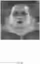 Fig. 22 - Photometric image processing