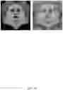 Fig. 30 - Photometric image processing