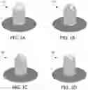 Fig. 02 - Gutter space padding for texture atlases