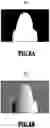 Fig. 09 - Image processing apparatus, image processing method and storage medium. With estimation of parameter of real illumination based on normal information on pixel included in high luminance area