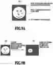Fig. 10 - Image processing apparatus, image processing method and storage medium. With estimation of parameter of real illumination based on normal information on pixel included in high luminance area