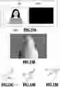 Fig. 14 - Image processing apparatus, image processing method and storage medium. With estimation of parameter of real illumination based on normal information on pixel included in high luminance area