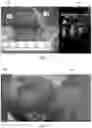 Fig. 09 - SYSTEMS AND METHODS FOR MIXED REALITY MEDICAL TRAINING