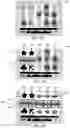 Fig. 03 - Gaming systems, apparatuses and methods employing partial winning combination features