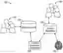 Fig. 01 - Analysis of content sources for automatic generation of training content