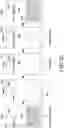 Fig. 40 - Electronic device for processing user speech and operating method therefor