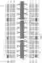 Fig. 07 - Sequential read mode static random access memory (SRAM)