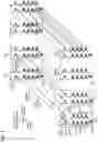 Fig. 09 - Nonvolatile semiconductor memory device