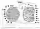 Fig. 01 - IN-SILICO METHOD TO IDENTIFY COMBINATORIAL PROTEINS AS IMMUNE-STIMULATORS AGAINST LEISHMANIASIS