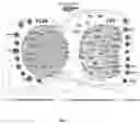 Fig. 02 - IN-SILICO METHOD TO IDENTIFY COMBINATORIAL PROTEINS AS IMMUNE-STIMULATORS AGAINST LEISHMANIASIS
