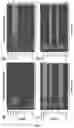 Fig. 04 - IN-SILICO METHOD TO IDENTIFY COMBINATORIAL PROTEINS AS IMMUNE-STIMULATORS AGAINST LEISHMANIASIS