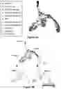 Fig. 06 - METHODS OF ANALYZING CELLS