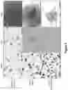 Fig. 07 - METHODS OF ANALYZING CELLS