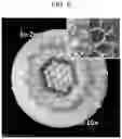 Fig. 07 - Method for producing Nb3Sn superconducting wire, precursor for Nb3Sn superconducting wire, and Nb3Sn superconducting wire using same