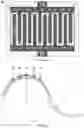 Fig. 05 - Printed temperature sensor