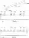Fig. 08 - Method for transferring structures