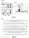 Fig. 07 - Dummy MOL removal for performance enhancement