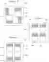 Fig. 04 - Semiconductor device assemblies including multiple shingled stacks of semiconductor dies