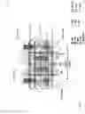 Fig. 07 - Memory cell and method of manufacturing the same