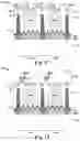 Fig. 09 - QE approach by double-side, multi absorption structure