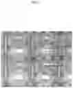 Fig. 06 - Organic EL image display device