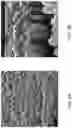 Fig. 05 - Method of forming an anode structure with dielectric coating
