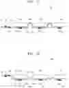 Fig. 10 - Complex electrode assembly including plurality of electrode assemblies and electrochemical device comprising the complex electrode assembly